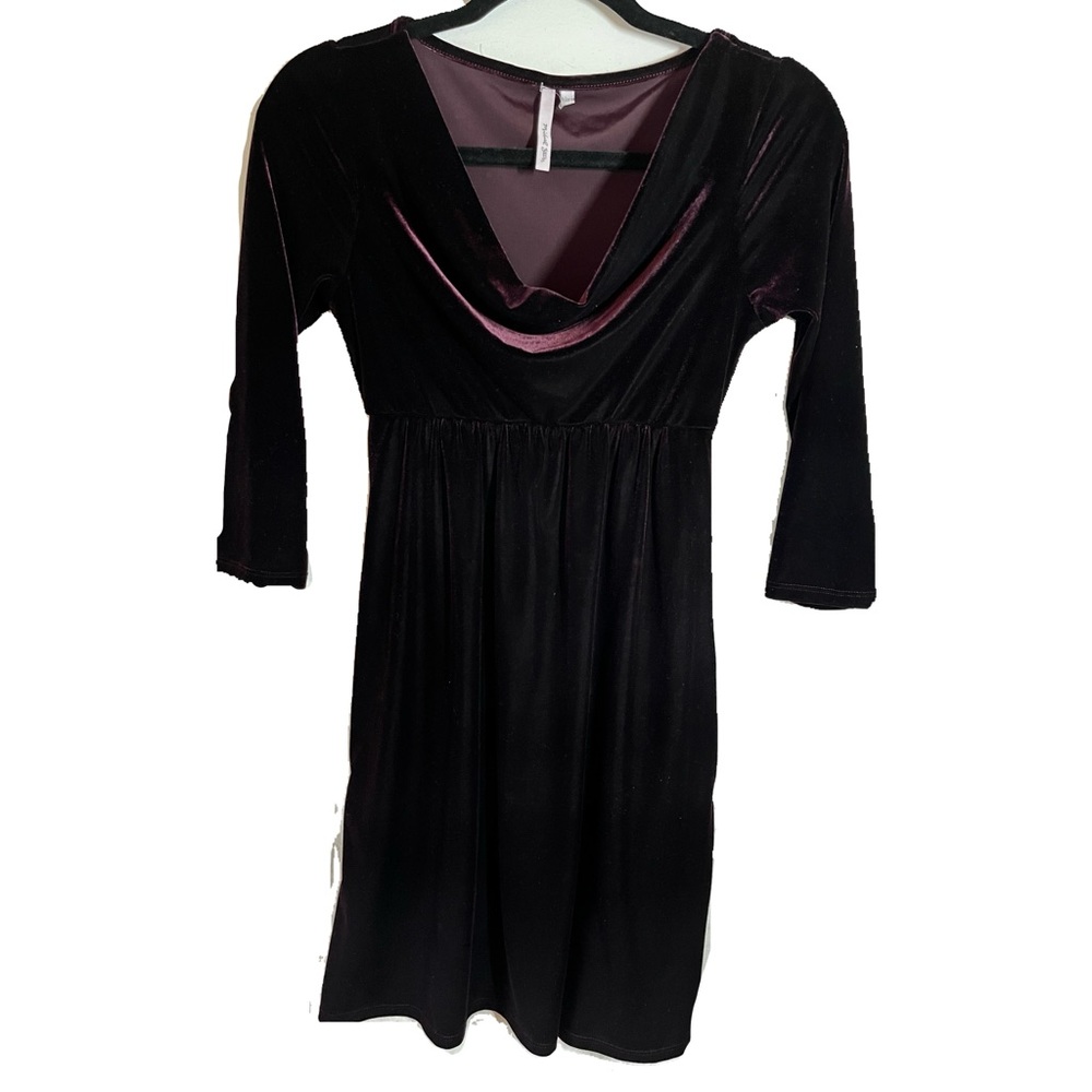 Burgundy Scoop Neck Velvet Dress size 0